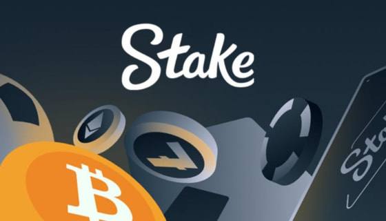 Ознакомьтесь с правилами казино Stake casino